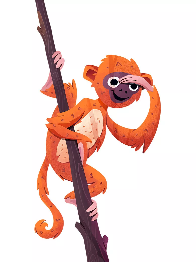 monkey