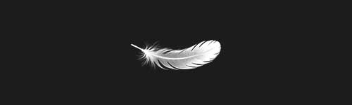 Elegant Plume brush stroke preview from Realistic Feathers for Procreate