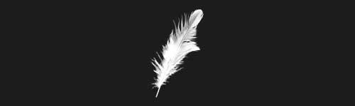 Rough Feather brush stroke preview from Realistic Feathers for Procreate