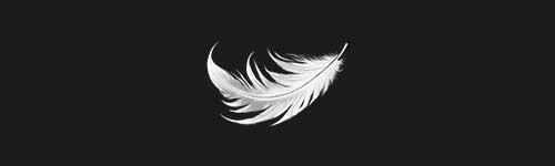 Exotic Quill brush stroke preview from Realistic Feathers for Procreate