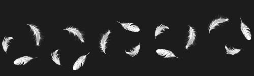 Feather Stroke brush stroke preview from Realistic Feathers for Procreate