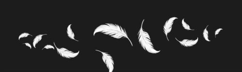Dynamic Feathers brush stroke preview from Realistic Feathers for Procreate