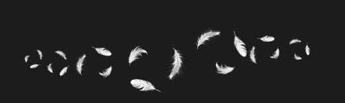 Feather Trail brush stroke preview from Realistic Feathers for Procreate