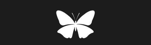 Butterfly 12 brush stroke preview from Pretty Butterflies for Procreate
