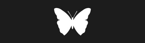 Butterfly 20 brush stroke preview from Pretty Butterflies for Procreate