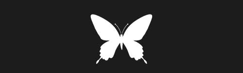 Butterfly 21 brush stroke preview from Pretty Butterflies for Procreate