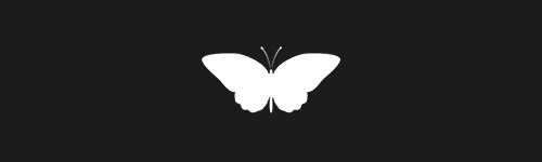 Butterfly 24 brush stroke preview from Pretty Butterflies for Procreate