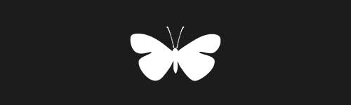 Butterfly 30 brush stroke preview from Pretty Butterflies for Procreate