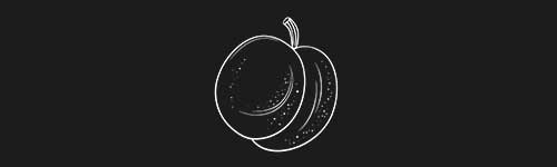 Apricot 1 brush stroke preview from Fruit Sketches for Procreate