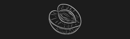 Apricot 2 brush stroke preview from Fruit Sketches for Procreate