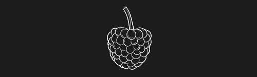 Blackberry brush stroke preview from Fruit Sketches for Procreate