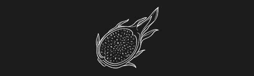 Dragonfruit 2 brush stroke preview from Fruit Sketches for Procreate
