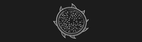 Dragonfruit 3 brush stroke preview from Fruit Sketches for Procreate