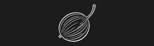 Gooseberry brush stroke preview from Fruit Sketches for Procreate