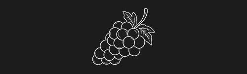 Grape brush stroke preview from Fruit Sketches for Procreate