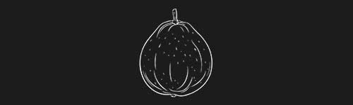 Guava brush stroke preview from Fruit Sketches for Procreate