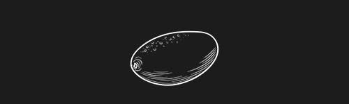 Kumquat brush stroke preview from Fruit Sketches for Procreate