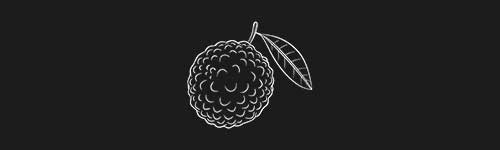 Lychee brush stroke preview from Fruit Sketches for Procreate