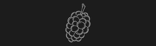 Mulberry brush stroke preview from Fruit Sketches for Procreate