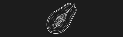 Papaya brush stroke preview from Fruit Sketches for Procreate