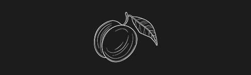 Peach brush stroke preview from Fruit Sketches for Procreate