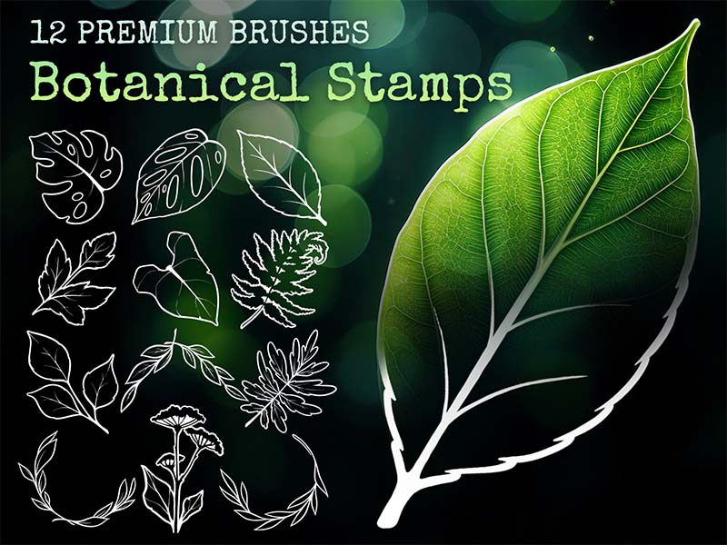 Botanical Stamps Procreate brush pack preview