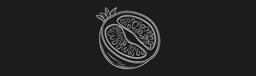 Pomegranate 1 brush stroke preview from Fruit Sketches for Procreate