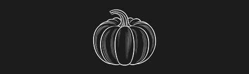 Pumpkin brush stroke preview from Fruit Sketches for Procreate