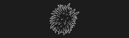 Rambutan brush stroke preview from Fruit Sketches for Procreate