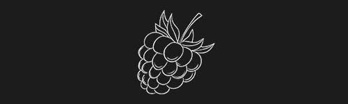Raspberry brush stroke preview from Fruit Sketches for Procreate