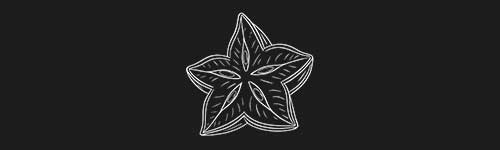 Starfruit 2 brush stroke preview from Fruit Sketches for Procreate
