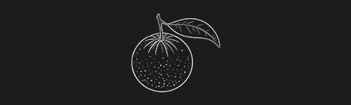 Tangerine brush stroke preview from Fruit Sketches for Procreate