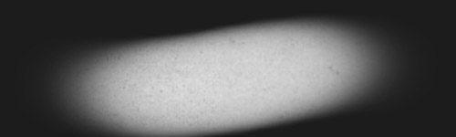 Parchment Inverted brush stroke preview from Paper Canvases for Procreate