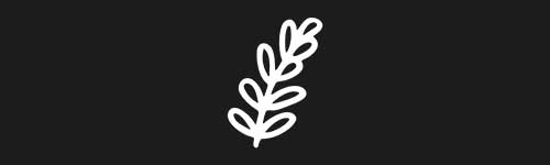 Leaf 2 brush stroke preview from Doodle Stamps Vol.1 for Procreate