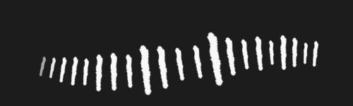 Dynamic Size brush stroke preview from Dynamic Hatching for Procreate