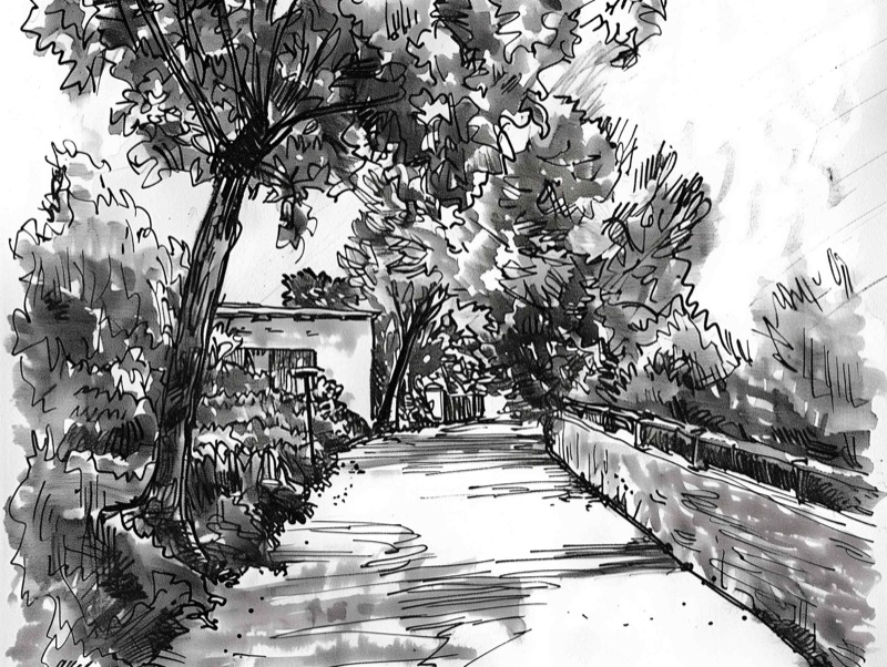 Dynamic Ink Procreate brush pack preview