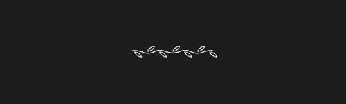 Divider 49 brush stroke preview from Lettering Dividers for Procreate