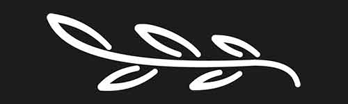 Botanical 12 brush stroke preview from Lettering Ornaments for Procreate