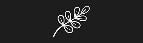Botanical 21 brush stroke preview from Lettering Ornaments for Procreate