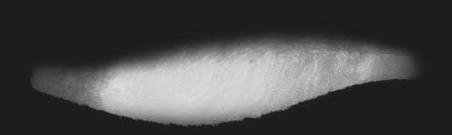 Soft Flow brush stroke preview from Whimsy Waters for Procreate