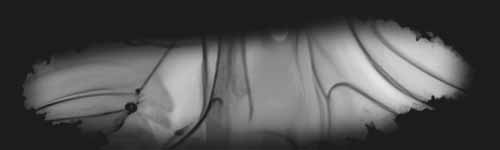 Marmoreal Dance brush stroke preview from Alcoholic Aesthetic for Procreate