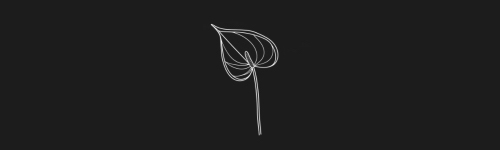 Anthurium Left brush stroke preview from Flower Stamps Vol.1 for Procreate