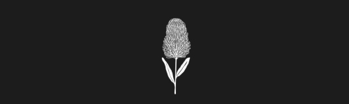Banksia brush stroke preview from Flower Stamps Vol.1 for Procreate