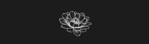 Cactus Flower brush stroke preview from Flower Stamps Vol.1 for Procreate