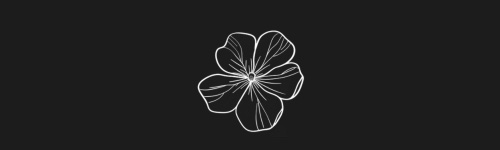 Cape Blossom brush stroke preview from Flower Stamps Vol.1 for Procreate
