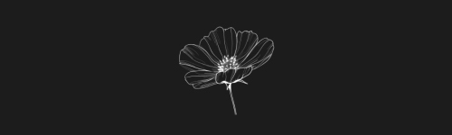 Cosmos brush stroke preview from Flower Stamps Vol.1 for Procreate
