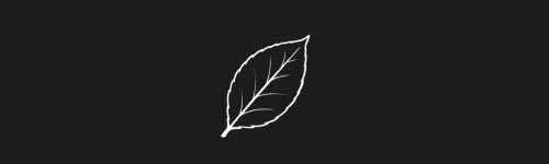 Simple Leaf brush stroke preview from Botanical Stamps for Procreate