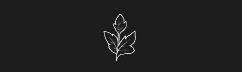 Herb Leaf brush stroke preview from Botanical Stamps for Procreate