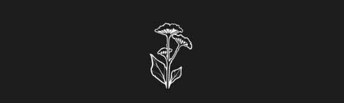 Flower Stem brush stroke preview from Botanical Stamps for Procreate