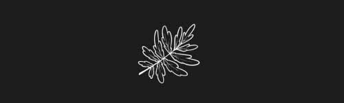 Bush Leaf brush stroke preview from Botanical Stamps for Procreate